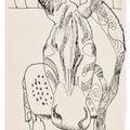Lucian Freud — Голова зебры на стуле, изображение 1