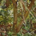 Lucian Freud — Зимний сад, изображение 2