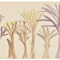 Lucian Freud — Деревья, изображение 1