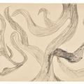 Lucian Freud — Дерево (II), изображение 1