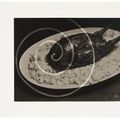 Man Ray — Изящество, изображение 12