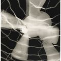 Man Ray — Изящество, изображение 3