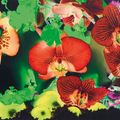 Marc Quinn — На дальних окраинах Вселенной : семь тарелок, изображение 4