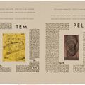 Max Ernst — Гийом Темпель, Максимилиана, вы занимаетесь астрономией, изображение 4