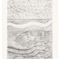 Max Ernst — Естественная история, издание Жанны Бюшер, Париж, 1926, изображение 2