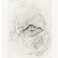 Max Ernst — Естественная история, издание Жанны Бюшер, Париж, 1926, изображение 5