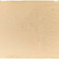 Milton Avery — Фантазия о дереве, изображение 4