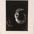 Odilon Redon — Шатер Святого Антуана – Текст Гюстава Флобера, изображение 7