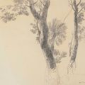 Odilon Redon — Древесные этюды, изображение 1