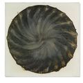 Otto Piene — Цветок из ракушки, изображение 1