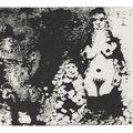 Pablo Picasso — Фернандо де Рохас: Селестина, изображение 4