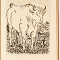 Pablo Picasso — Оригинальные коньячные спирты для текстов Буффона (Естественная история), изображение 3
