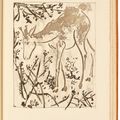 Pablo Picasso — Оригинальные коньячные спирты для текстов Буффона (Естественная история), изображение 5