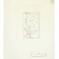 Pablo Picasso — Поэзия несуществующих слов : одна тарелка, изображение 1