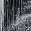 Pat Steir — Водопад Присциллы, изображение 3