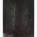 Pat Steir — Водопад, изображение 2