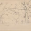Paul Cézanne — Деревья, изображение 1