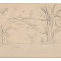 Paul Cézanne — Деревья, изображение 2