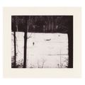 Peter Doig — Почти взрослый, изображение 1