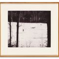 Peter Doig — Почти взрослый, изображение 2