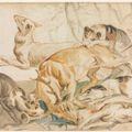 Peter Paul Rubens — Охота на кабана и охота на оленя, изображение 2
