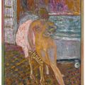 Pierre Bonnard — Женский туалет для женщин, изображение 1