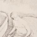 Pierre Bonnard — Молодая женщина с туалетом, изображение 1