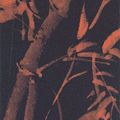 Pu Ru — Бамбук и цветы, изображение 3