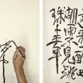 Qiu Zhijie — Десять стихотворений Су Ши, изображение 3