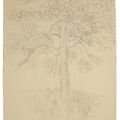 Raoul Dufy — Le Pin, изображение 1
