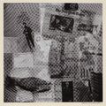 Robert Rauschenberg — Серия поверхностей, начиная с течений, изображение 3