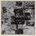 Robert Rauschenberg — Серия поверхностей, начиная с течений, изображение 5