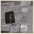 Robert Rauschenberg — Серия поверхностей, начиная с течений, изображение 10