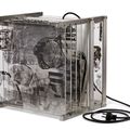 Robert Rauschenberg — Оттенков, изображение 2