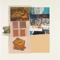 Robert Rauschenberg — Тринадцать серий конских перьев : шесть пластин, изображение 3