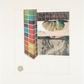 Robert Rauschenberg — Тринадцать серий конских перьев : шесть пластин, изображение 6