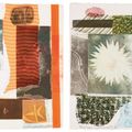 Robert Rauschenberg — Аркан: два отпечатка, изображение 1