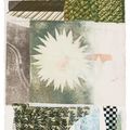 Robert Rauschenberg — Аркан: два отпечатка, изображение 3