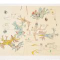 Roberto Matta — Д'Юэ, изображение 5