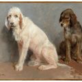 Rosa Bonheur — Исследование двух собак, изображение 2