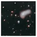 Ross Bleckner — Созвездие, изображение 1