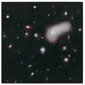 Ross Bleckner — Созвездие, изображение 2