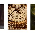 Ross Bleckner — Без названия, изображение 1