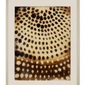 Ross Bleckner — Без названия, изображение 3