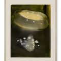 Ross Bleckner — Без названия, изображение 4