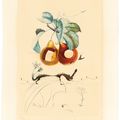 Salvador Dalí — Флордали (Лес фруктов), изображение 7