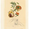 Salvador Dalí — Флордали (Лес фруктов), изображение 9
