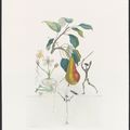 Salvador Dalí — Десять тарелок от: FlorDali ("Лесные фрукты") (M. & L. 344, 346-7, 349-355), изображение 4