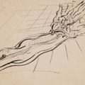 Salvador Dalí — Бразо-Рио, изображение 1
