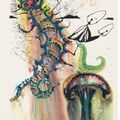 Salvador Dalí — Приключения Алисы в Стране чудес, изображение 6